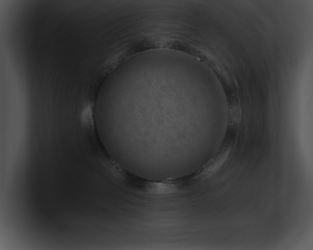 X0000100900286200806241259