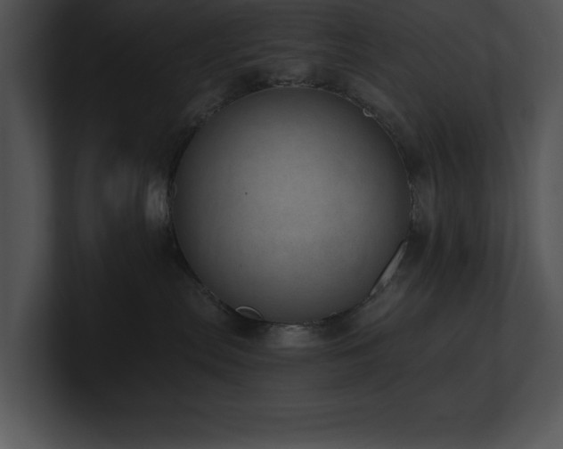 X0000100900287200806241259