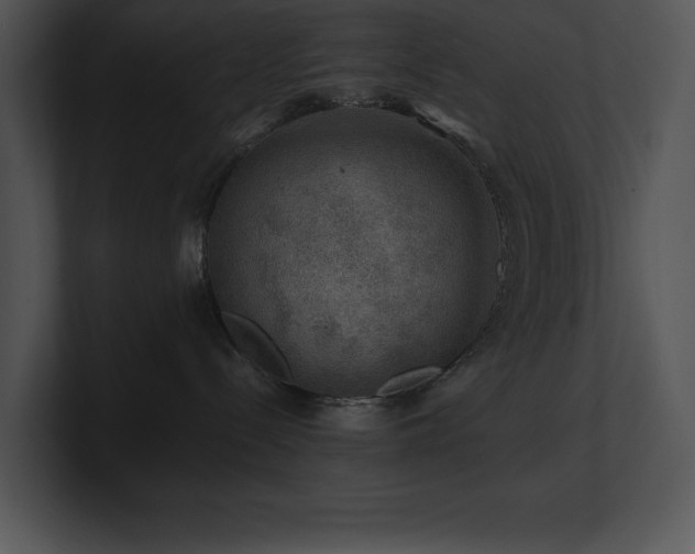 X0000100900288200806241259