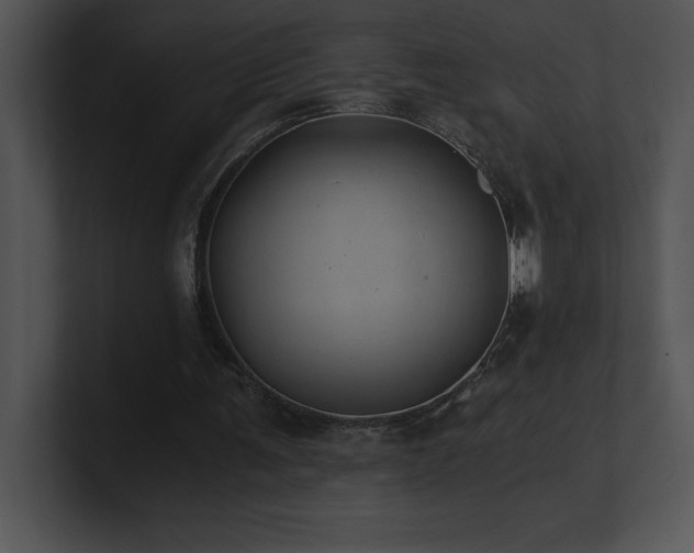 X0000100900291200806241258