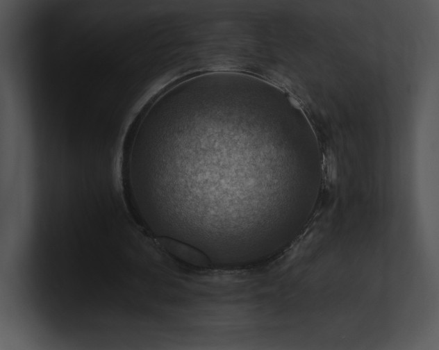 X0000100900292200806241258