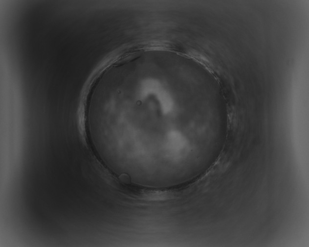 X0000100900293200806241258