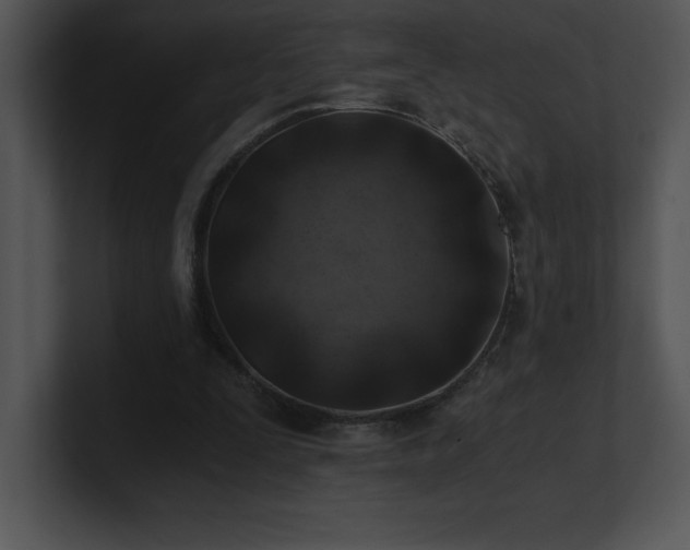 X0000100900295200806241258