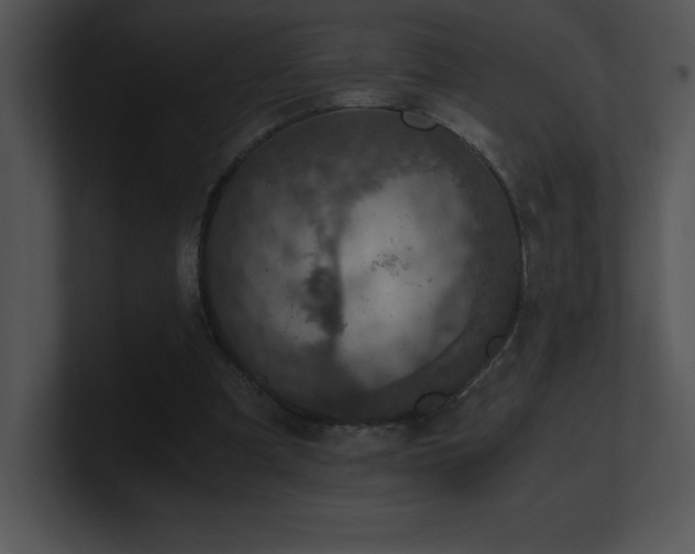 X0000100900297200806241258