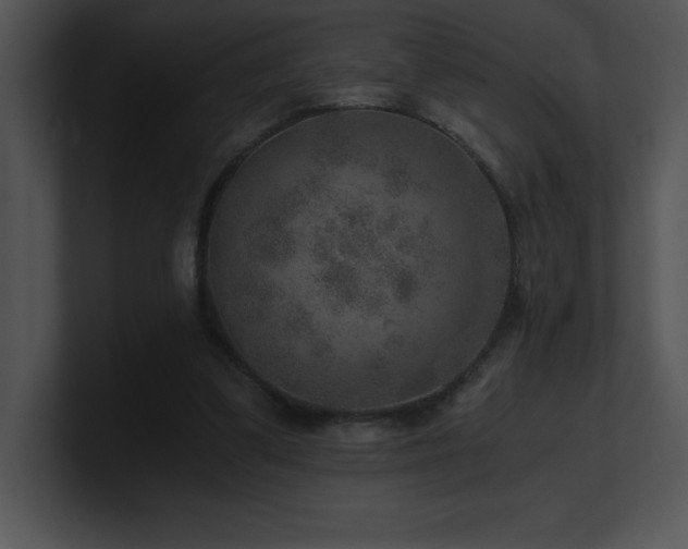 X0000100900299200806241258