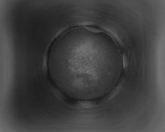 X0000100900300200806241258