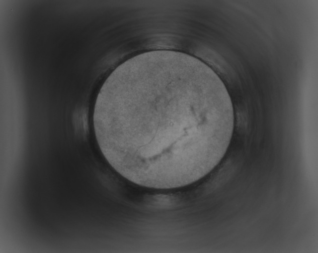 X0000100900302200806241258