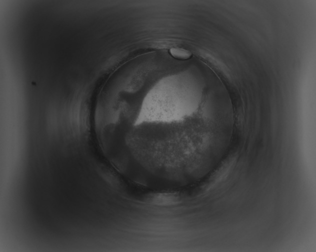 X0000100900303200806241258