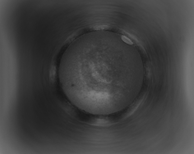 X0000100900308200806241258