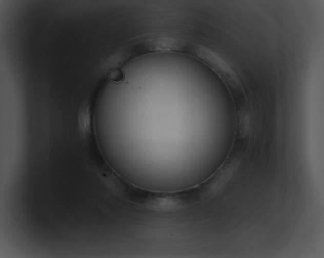 X0000100900310200806241258