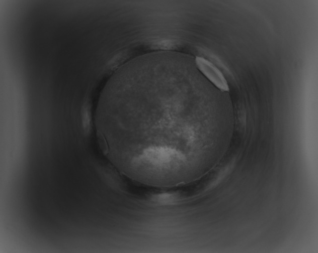 X0000100900312200806241258