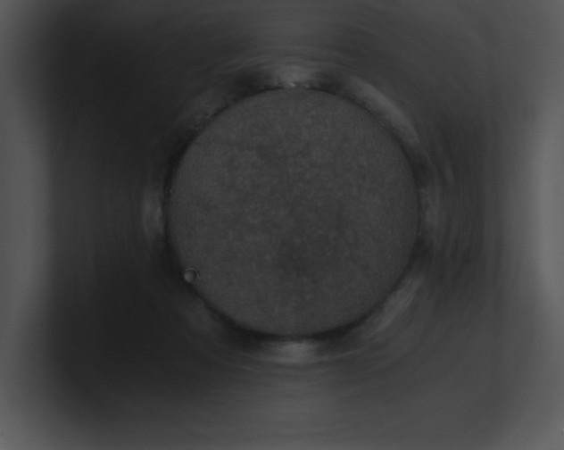X0000100900313200806241258