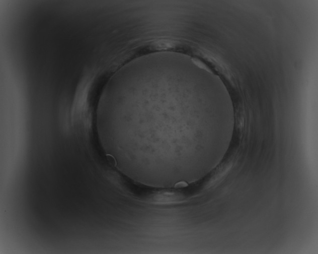 X0000100900315200806241258