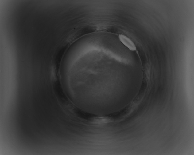 X0000100900316200806241258