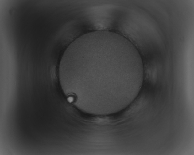 X0000100900317200806241258