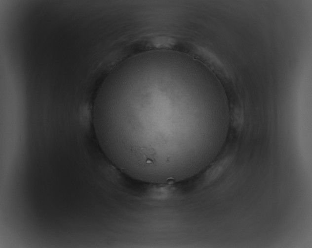 X0000100900321200806241257