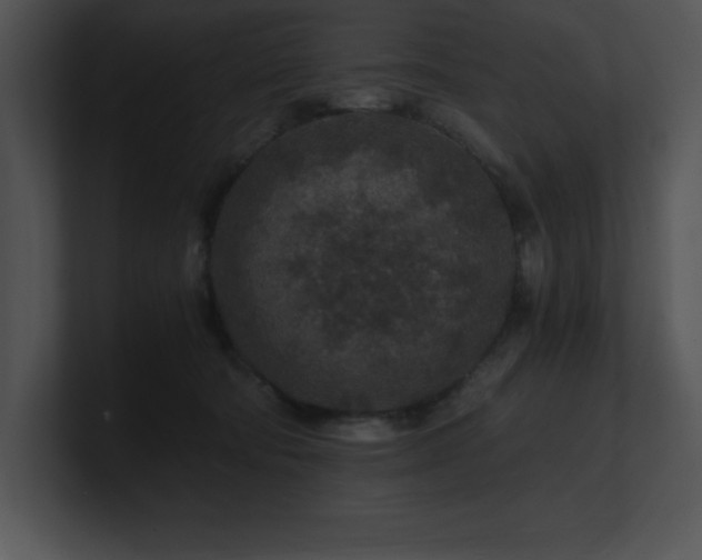 X0000100900322200806241257