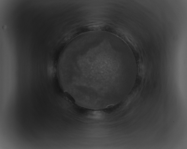 X0000100900324200806241257