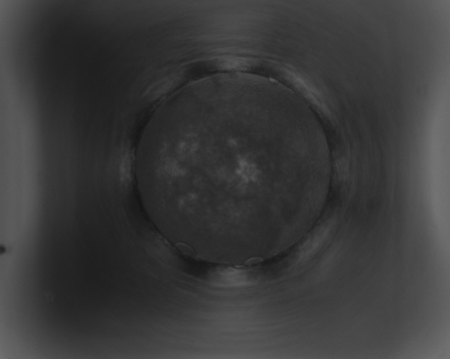 X0000100900325200806241257