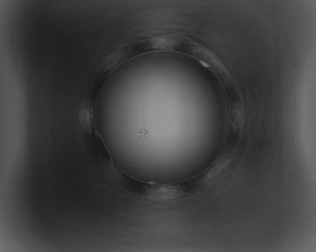 X0000100900329200806241257