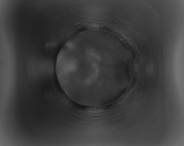 X0000100900331200806241257