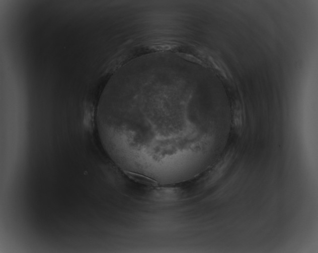 X0000100900332200806241257