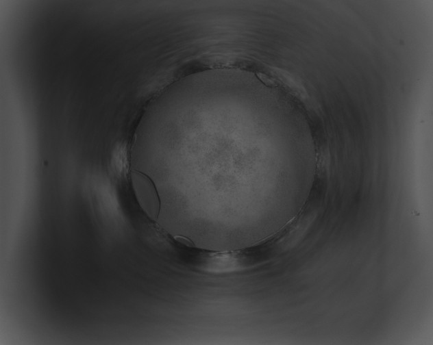 X0000100900335200806241257