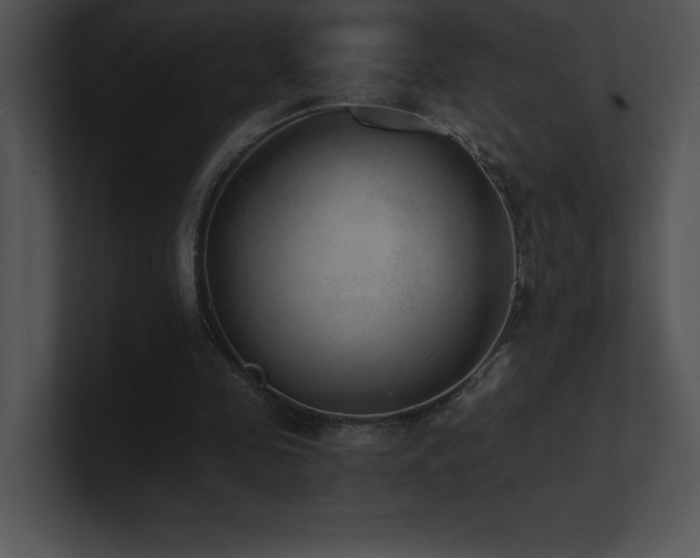 X0000100900341200806241257