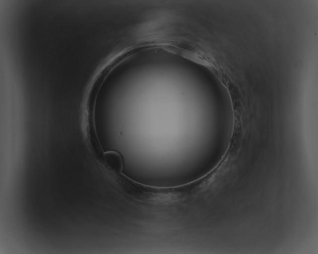 X0000100900342200806241257
