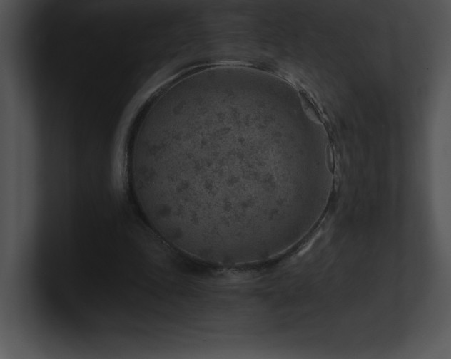 X0000100900343200806241257