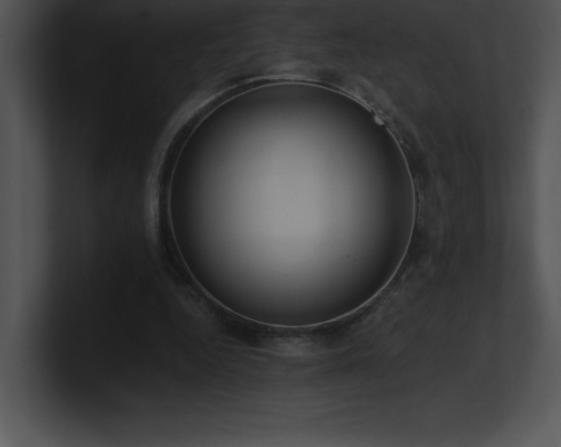 X0000100900344200806241257