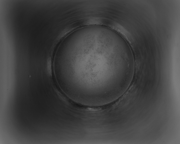 X0000100900345200806241257