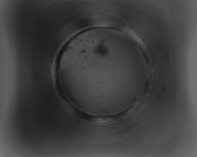 X0000100900346200806241257