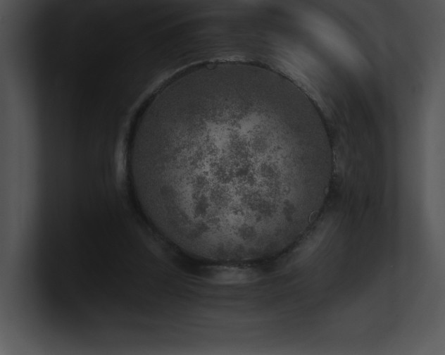 X0000100900347200806241257