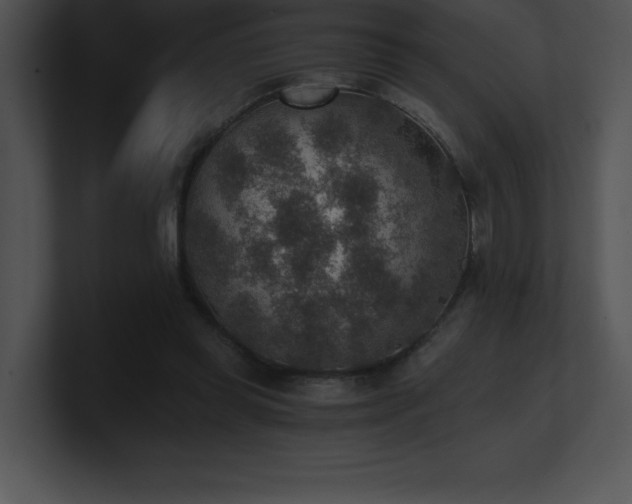 X0000100900349200806241257