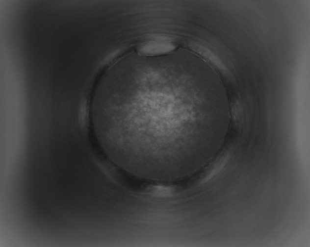 X0000100900352200806241257