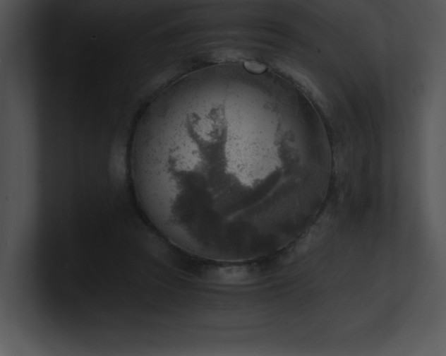 X0000100900353200806241257