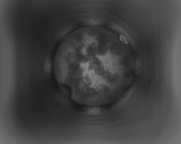 X0000100900355200806241257