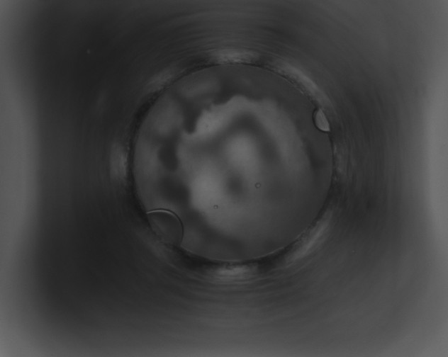 X0000100900357200806241257
