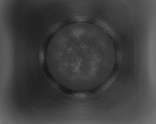X0000100900358200806241257