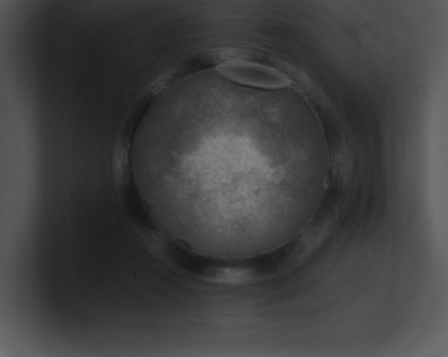 X0000100900360200806241257