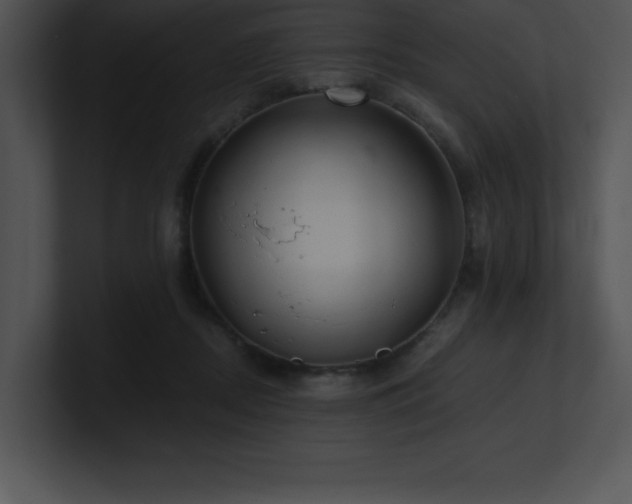 X0000100900362200806241257