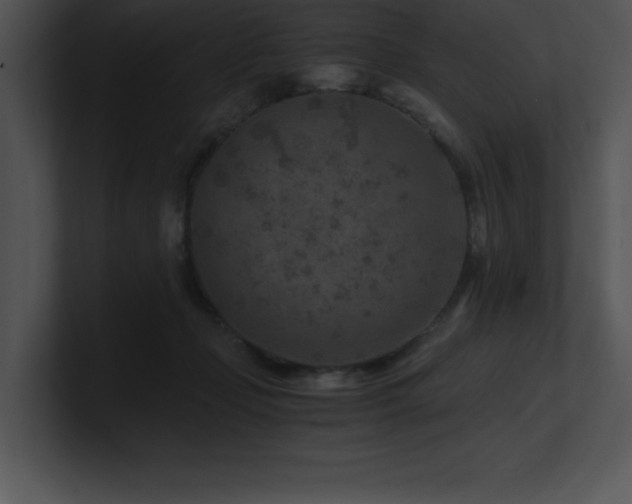 X0000100900365200806241257