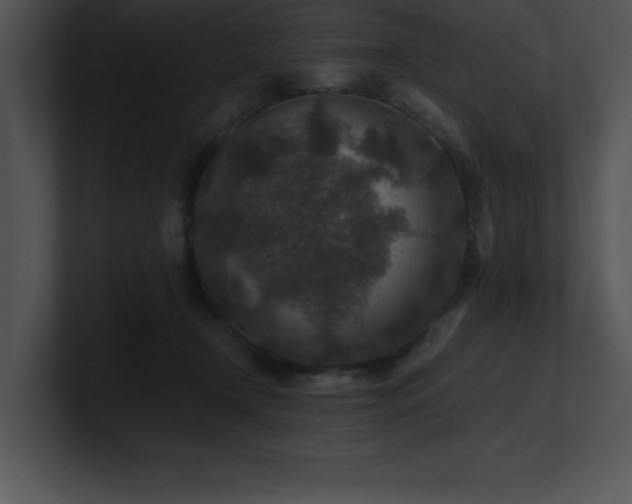 X0000100900366200806241257