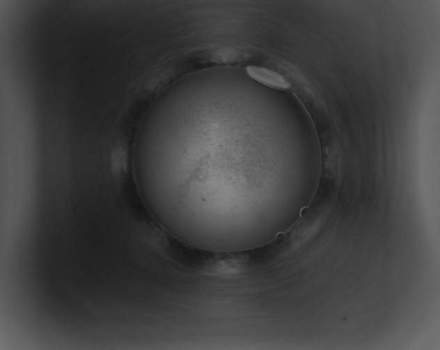 X0000100900368200806241257
