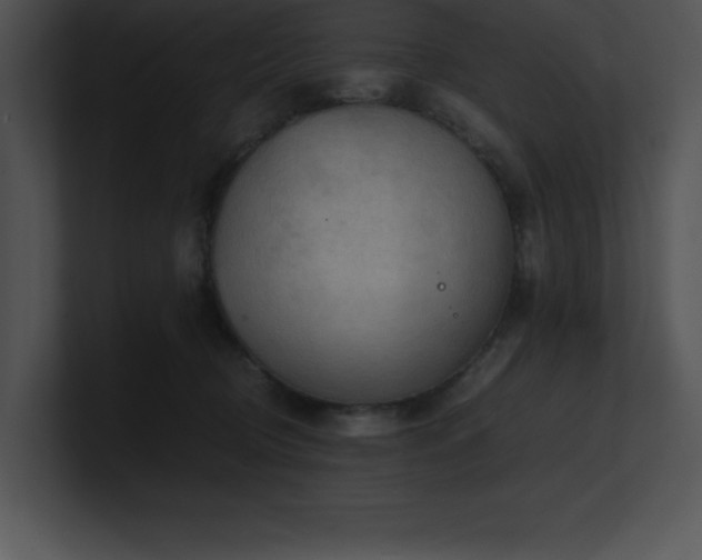 X0000100900370200806241257