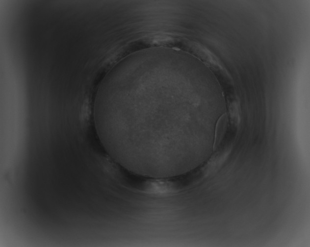 X0000100900372200806241257
