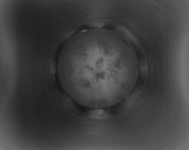 X0000100900374200806241257