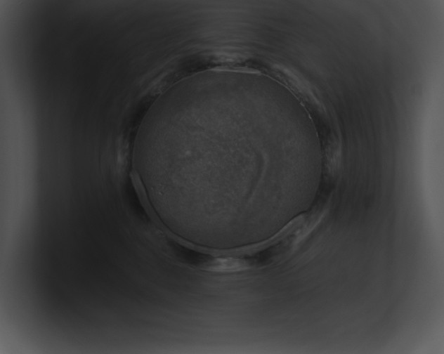 X0000100900376200806241257