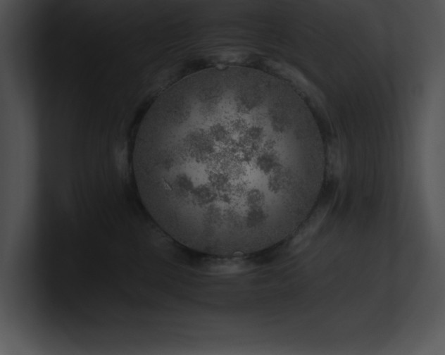 X0000100900377200806241257
